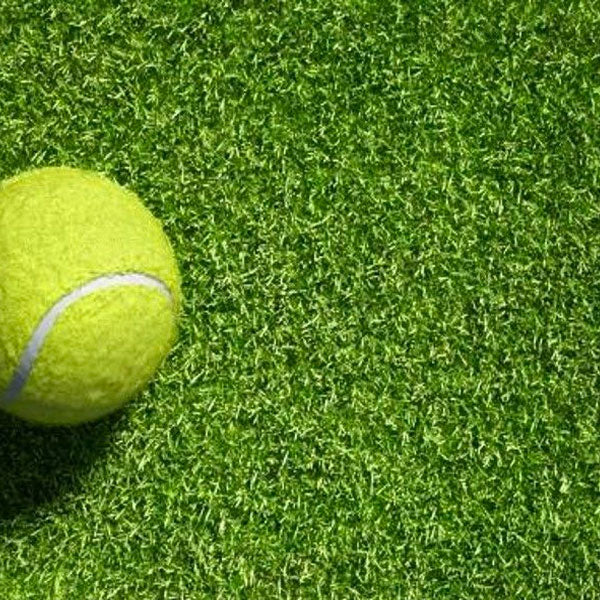 Artificial Grass Green Turf, Sports Grass